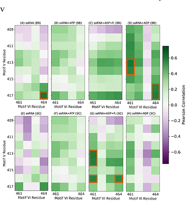 Allosteric Regulation of RNA Affinity by Motif V-VI Coupling in West Nile Virus NS3 Helicase