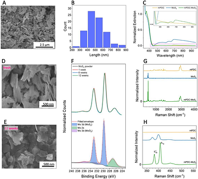 A polydiolcitrate-MoS2 composite for 3D printing Radio-opaque, Bioresorbable Vascular Scaffolds