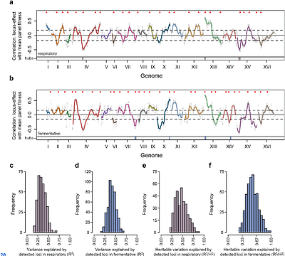 Global epistasis in budding yeast driven by many natural variants whose effects scale with fitness