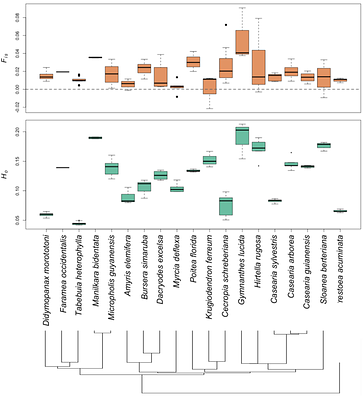 A comparative dataset on population genetics, traits, and distributions for nineteen Caribbean tree species