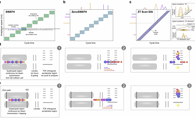 Performance Characteristics of Zeno Trap Scanning DIA for Sensitive and Quantitative Proteomics at High Throughput