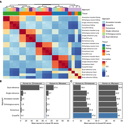 CrossFilt: A Cross-species Filtering Tool that Eliminates Alignment Bias in Comparative Genomics Studies