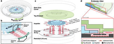 PROPEL: a high-throughput shear-stress platform reveals organotypic thresholds in endothelial mechano-adaptation