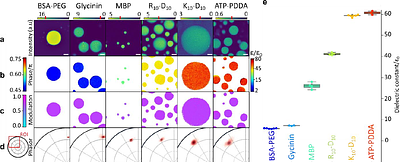 Fluorescence-based mapping of dielectric permittivity of condensates and their environment