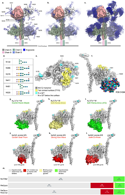 Integrating glycosylation in de novo protein design with ReGlyco Binder Design Filter