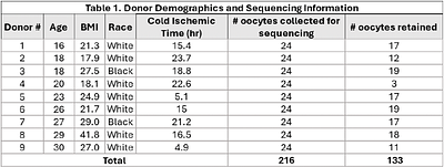 Single-oocyte transcriptional profile of early-stage human oocytes reveals differentially expressed genes in the primordial and transitioning stages.