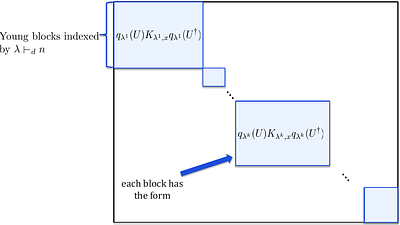 The Optimal Rate Function in Covariant Quantum State Tomography