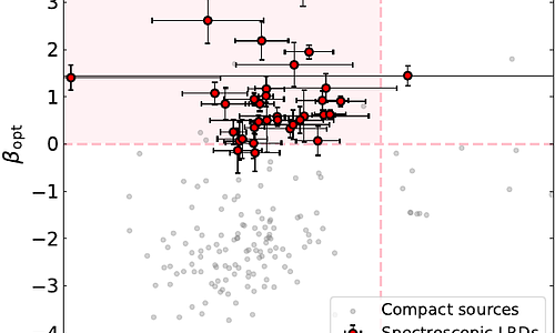 NEXUS: Abundance, Environments, and Spectral Diversity of Little Red Dots from the NIRSpec MSA Sample