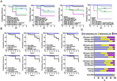 Bacterial histone-like proteins released during antibiotic treatment mediate vascular injury in meningococcal sepsis.