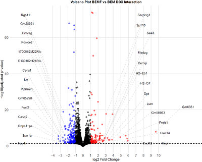 Fibroblast-Enhanced Tumour Microenvironment Signalling Promotes Adaptive Doxorubicin Tolerance in Heterotypic Melanoma Spheroids