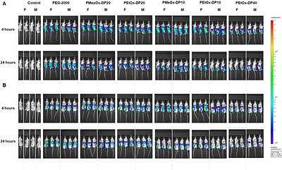 PEG-Free Tunable Poly(2-Oxazoline) Lipids Modulate LNP Biodistribution and Expression In Vivo after Intramuscular Administration