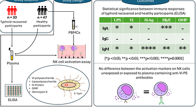 Antibody Responses to Salmonella Typhi Antigens among Typhoid Recovered Individuals in an Endemic Region