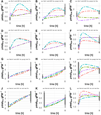Acclimation of carbon metabolism to a changing environment across a leaf rosette of Arabidopsis thaliana