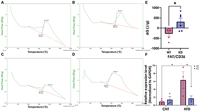 Loss of Bone Marrow β1/β2-Adrenergic Receptors Reprograms Host-Microbiota Interactions and Protects Against Diet-Induced Obesity