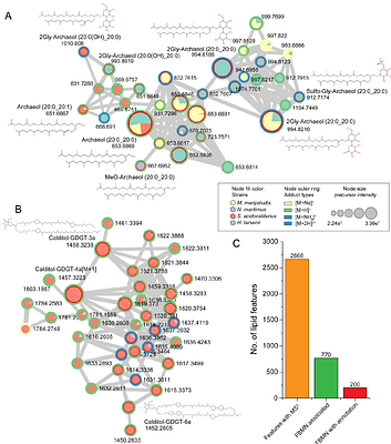 ArchLips: A comprehensive in silico database for high-throughput identification of archaeal lipids