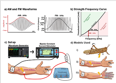 Phasic Neural Stimulation via Frequency-Modulated Kilohertz Signals: An Alternative to Amplitude Modulation
