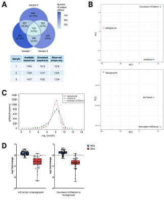 DNA Damage Response Proteins Are Involved in the Formation of Defective HIV-1 Proviruses