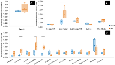 Whole-Brain, Region-Specific Astrocyte Reactivity and Morphological Remodeling After Diffuse Traumatic Brain Injury in A Gyrencephalic Ferret Model