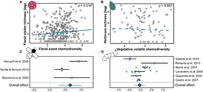 Chemodiversity is an independent synecological dimension of plant form and function