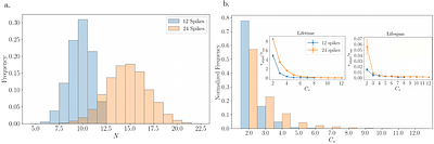 Mesoscale Transport of Enveloped Viruses