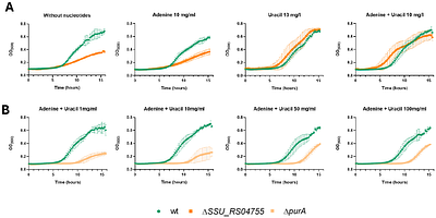 Genome-Wide Identification of Conditionally Essential Genes Supporting Streptococcus suis Growth in Serum and Cerebrospinal Fluid