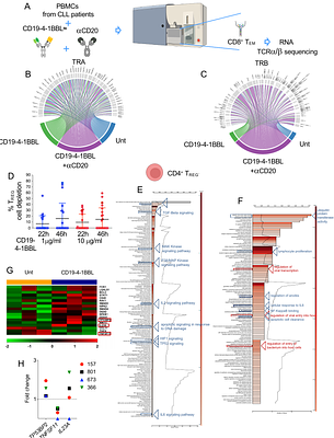 The CD19-4-1BBL antibody fusion protein unleashes the immune system against high-risk chronic lymphocytic leukemia