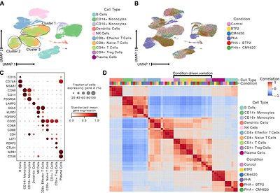 Single-cell transcriptomics reveals targeted modulation of inflammatory repertoire by SOCE blockers
