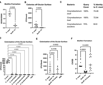 C. mastitidis requires the protein Sortase F to colonize the eye