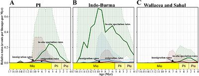 In-situ diversification and regional attributes shape asymmetric diversity of Miliusa (Annonaceae) in tropical Asia.