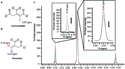 Analysis of apo and citraconate-bound hACOD1 (hIRG1) by X-ray crystallography and NMR spectroscopy: structural insights for developing chemotherapeutic agents