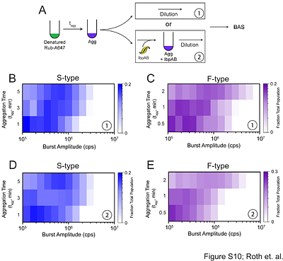 Single particle dynamics of protein aggregation and disaggregation in the presence of the sHsp proteins IbpAB