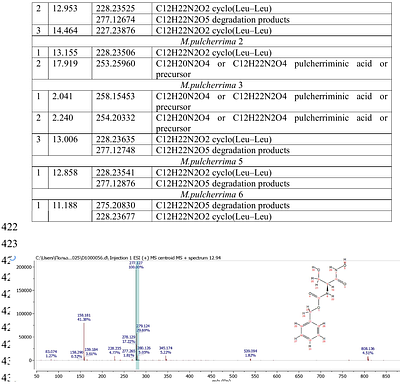 Pulcherrimin Production by Endophytic Metschnikowia pulcherrima: Fermentation Performance and Antimicrobial Activity