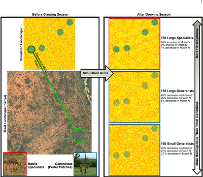 Spatial fingerprint of consumer body size and habitat preference on resource distribution