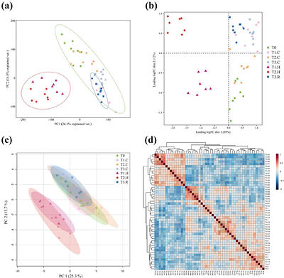 Thermotolerance in Chia (Salvia hispanica L.) is Mediated by Rapid Heat-Induced Transcriptomic Reprogramming and Lipid Remodelling in Leaves
