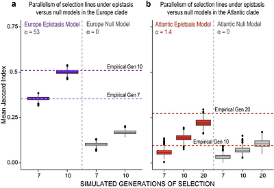 Impacts of genome architecture on the repeatability of polygenic adaptation