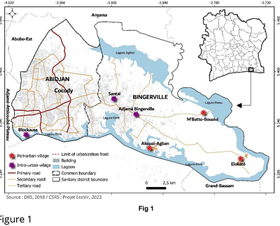 Patterns of Aedes aegypti immature ecology and arboviral epidemic risks in peri-urban and intra-urban villages of Cocody-Bingerville, Cote d'Ivoire: insights from a dengue outbreak