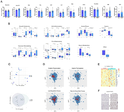 Primary Hyperparathyroidism Reveals Limited Adipose Remodeling in Human