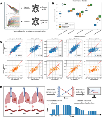Mechanistic modeling and machine learning identifies optimum radiotherapy schedules to prevent treatment-induced metastasis