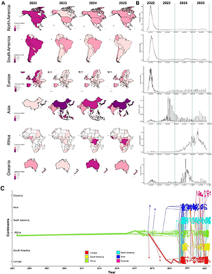 Adaptive Remodeling of the MPXV B21R Receptor-Binding Domain Enhances DC-SIGN Interaction and Identifies Conserved CTL Targets for T-Cell Vaccine Development