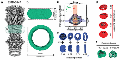 Interactive segmentation of membrane and membrane mimic densities in cryo-EM maps