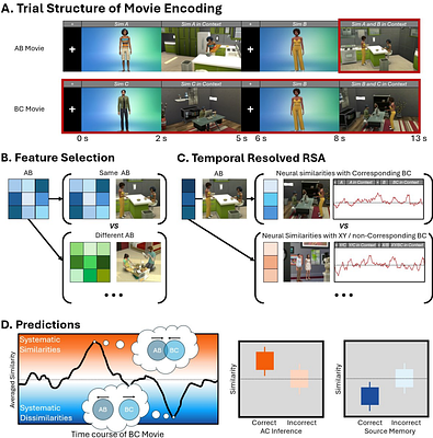Episodic events are flexibility encoded in both integrated and separated neural representations