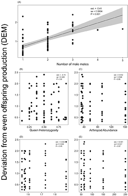 Multiple mating predicts queen reproductive output in the polygynous Neotropical trap-jaw ant, Odontomachus chelifer (Formicidae: Ponerinae)