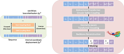 UniFlow: Unifying protein conformational ensemble generation and machine-learned force fields with a scalable normalizing Flow
