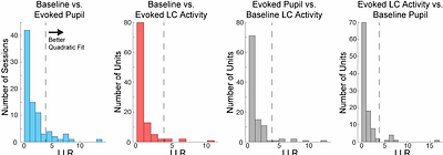 Limitations of pupil diameter as a proxy for modes of locus coeruleus activity