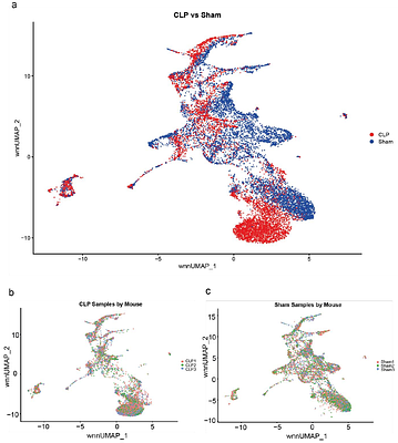 CITE-seq of murine bone marrow plasmacytoid dendritic cells and haematopoietic progenitor cells in sepsis