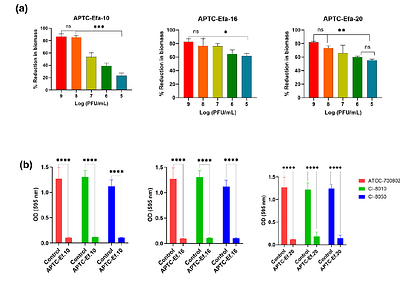 LicD-Mediated Cell Wall Decoration Governs Phage Sensitivity in Enterococcus faecalis Clinical Isolates
