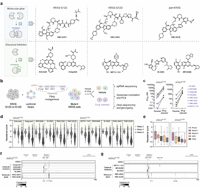 Orthogonal resistance mechanisms of classical- and induced-proximity inhibitors