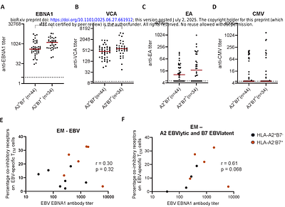 Multiple sclerosis-associated HLA demarcates EBV-specific CD8+ T cells with an exhausted and brain residency phenotype