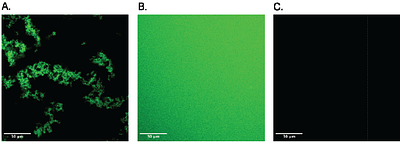 Quantitative Thermodynamic Characterization of Self-Assembling RNA Nanostructures