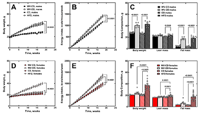A Regionally Inspired West Virginia Obesogenic Diet Induces Fat Accretion and Metabolic Dysfunction While Identifying Sex Disparity